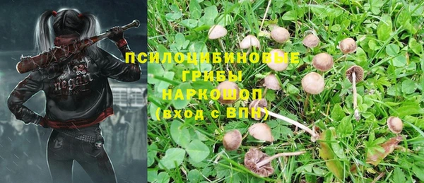 герыч Верхний Тагил